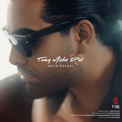 مجید رضوی : تنگ میشه دل