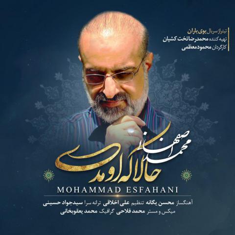 محمد اصفهانی : حالا که اومدی
